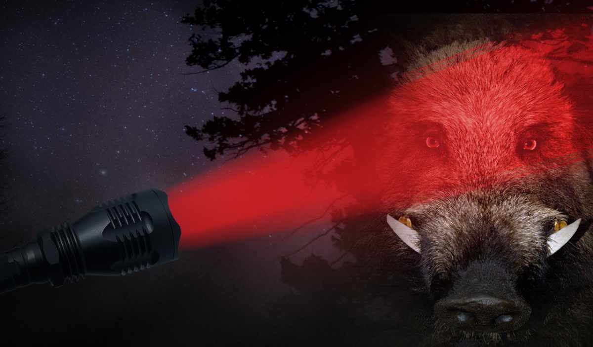 Dominate the Dark with Precision